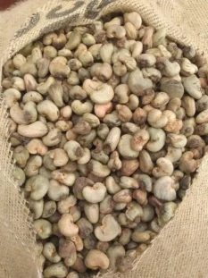 Raw Cashew Nuts Raw Cashew Nuts