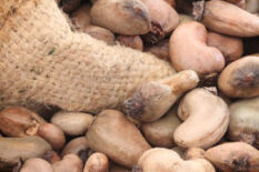 Raw-nuts Raw-nuts