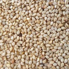 Sesame Seed