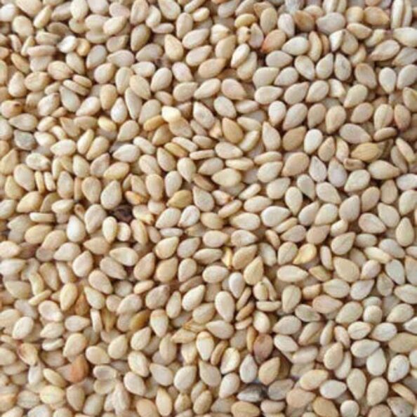 Sesame Seed