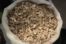 sun-dried-split-ginger-exporters-nigeria-suppliers